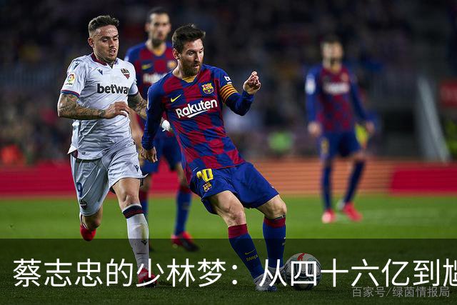 蔡志忠的少林梦：从四十六亿到尴尬的归宿